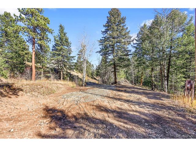 28176 Alabraska Ln, Evergreen, CO 80439