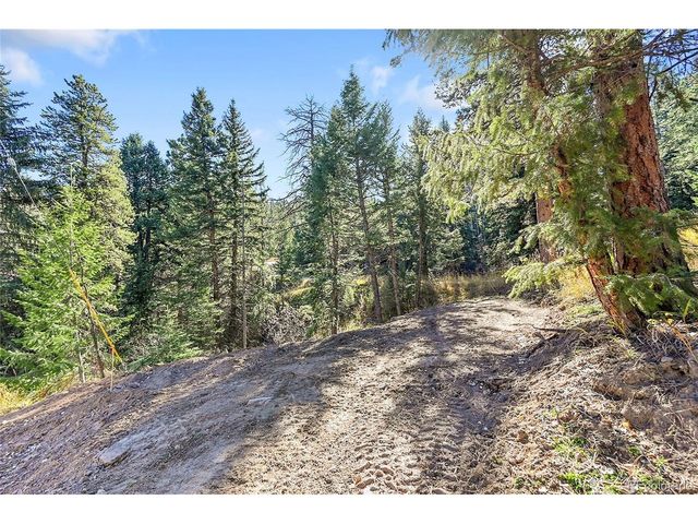 28176 Alabraska Ln, Evergreen, CO 80439