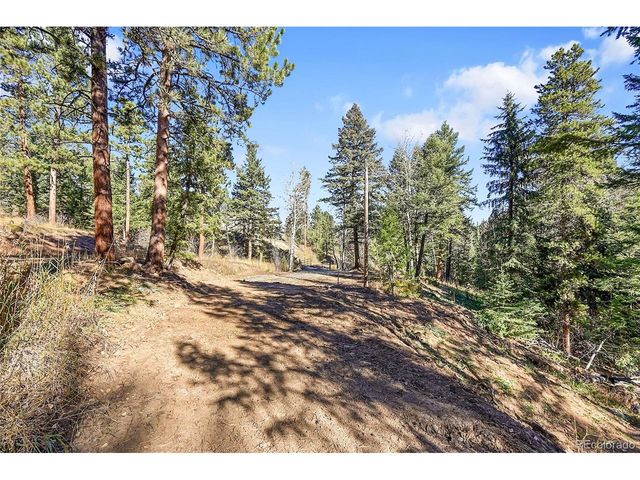 28176 Alabraska Ln, Evergreen, CO 80439