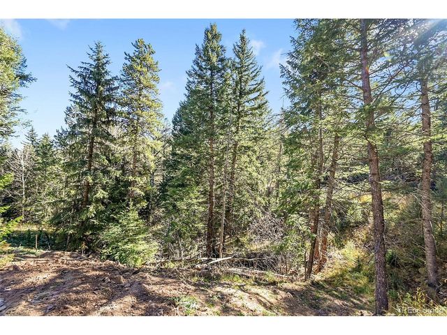28176 Alabraska Ln, Evergreen, CO 80439