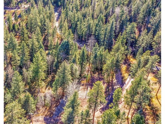 28176 Alabraska Ln, Evergreen, CO 80439