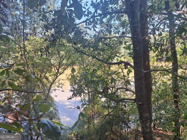 163 High Bluff Road, Baxley, GA 31513