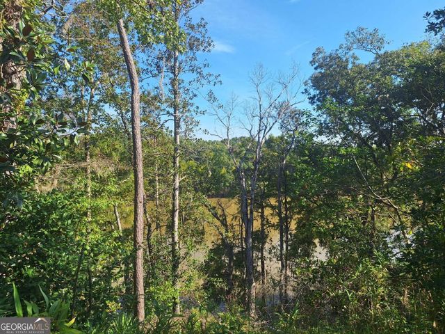 163 High Bluff Road, Baxley, GA 31513