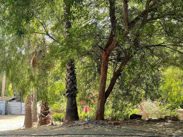 14082 Los Cielos, Escondido, CA 92025