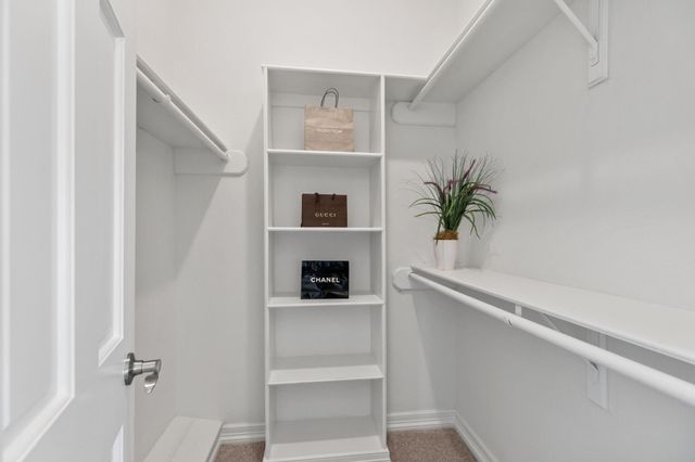 1117 Potomac Drive C, Houston, TX 77057