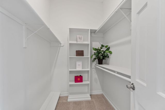 1117 Potomac Drive C, Houston, TX 77057