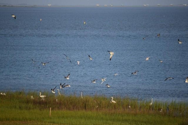 26570 Bay Water Drive 302, Galveston, TX 77554