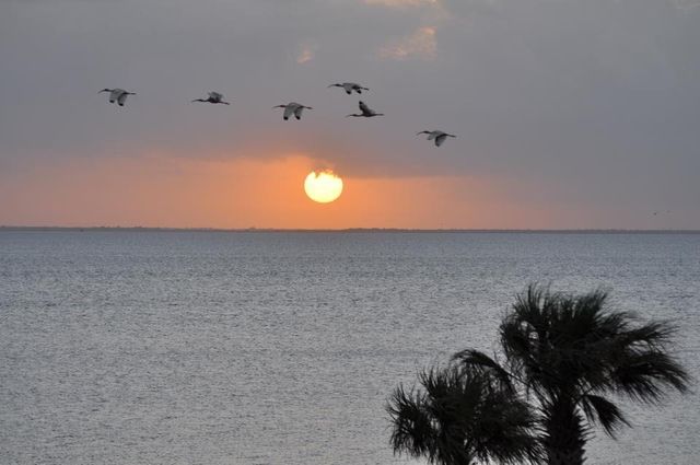 26570 Bay Water Drive 302, Galveston, TX 77554