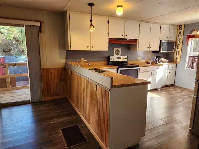 2289 CR 436A, Lake Panasoffkee, FL 33538