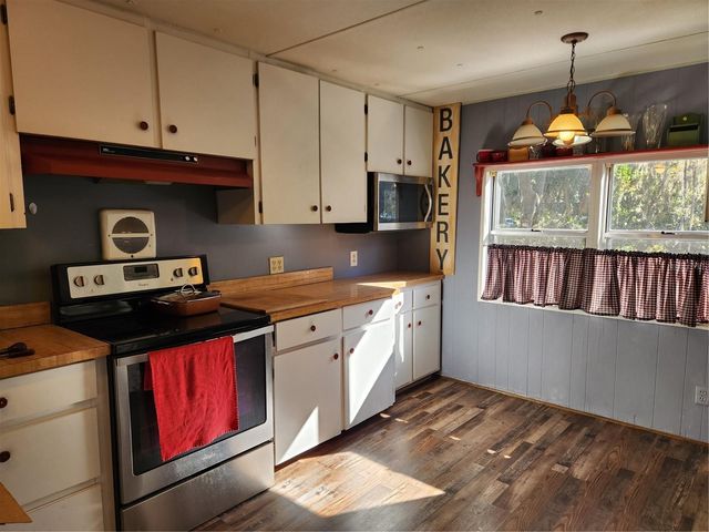 2289 CR 436A, Lake Panasoffkee, FL 33538