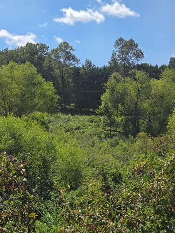 0 Highway 115, Cleveland, GA 30528
