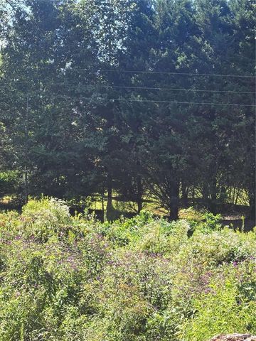 0 Highway 115, Cleveland, GA 30528