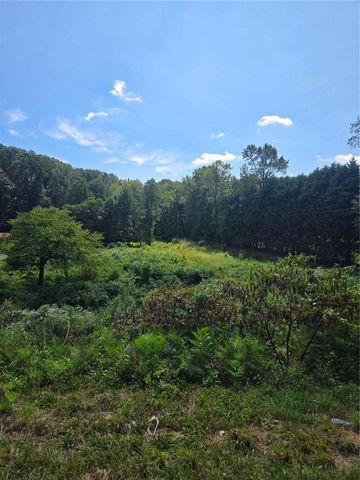 0 Highway 115, Cleveland, GA 30528