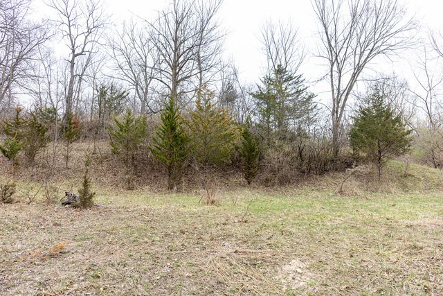 LOT 19 & LOT 18 Williams Road, Lake Marian, IL 60110