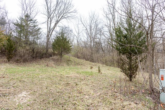 LOT 19 & LOT 18 Williams Road, Lake Marian, IL 60110