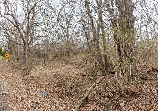 LOT 19 & LOT 18 Williams Road, Lake Marian, IL 60110