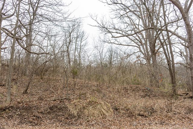 LOT 19 & LOT 18 Williams Road, Lake Marian, IL 60110