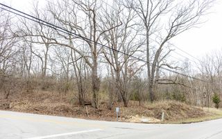 LOT 19 & LOT 18 Williams Road, Lake Marian, IL 60110