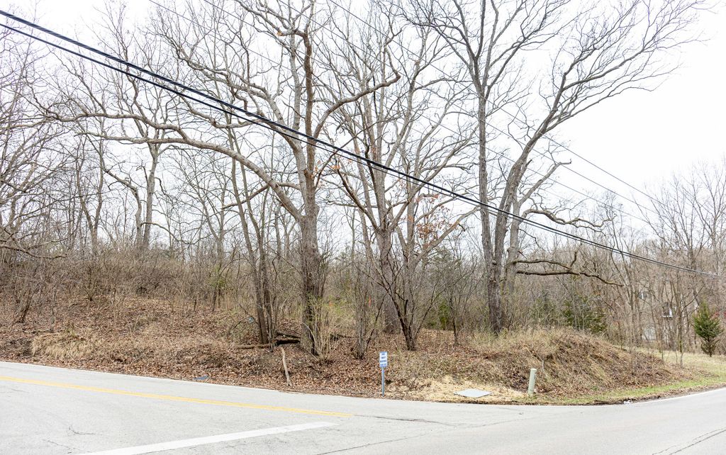 LOT 19 & LOT 18 Williams Road, Lake Marian, IL 60110