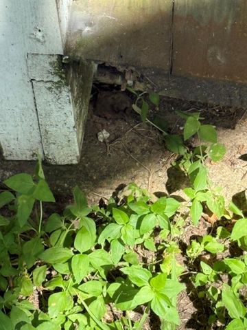 44 Starling Drive, Palacios, TX 77465