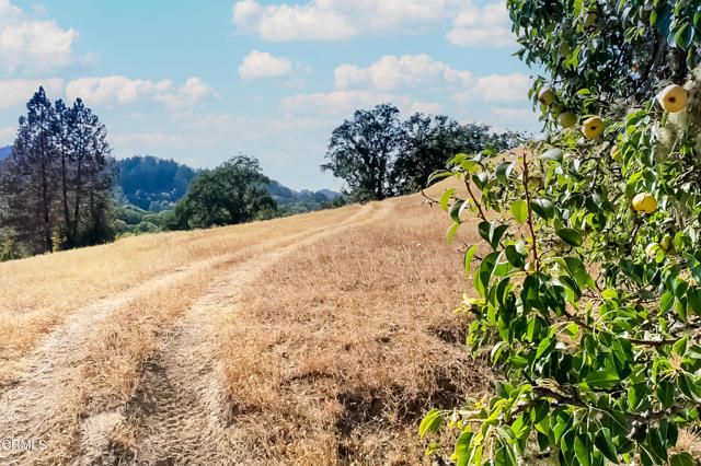 18300 Walker Road, Willits, CA 95490