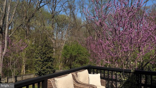 6309 MORI ST, Mclean, VA 22101