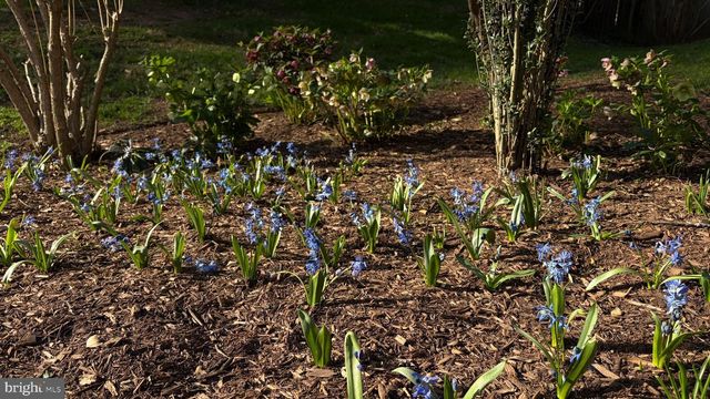 6309 MORI ST, Mclean, VA 22101