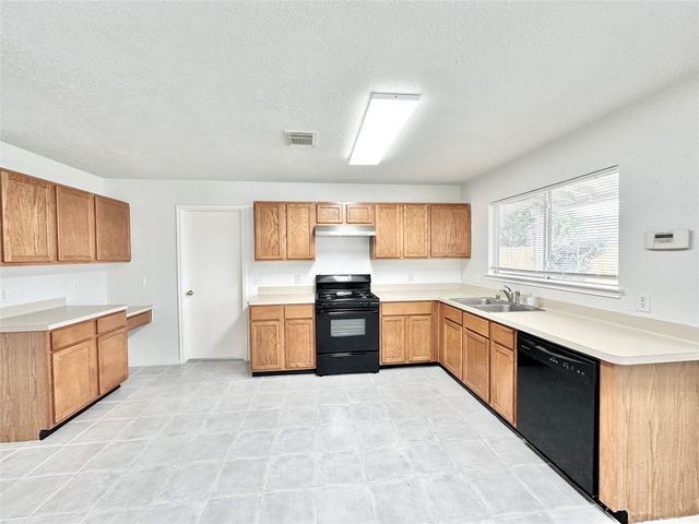 17002 Irish Oaks Court, Houston, TX 77083