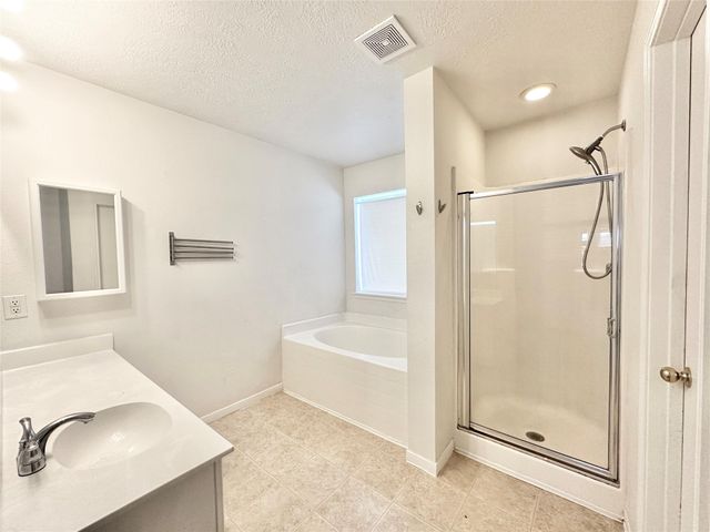 17002 Irish Oaks Court, Houston, TX 77083