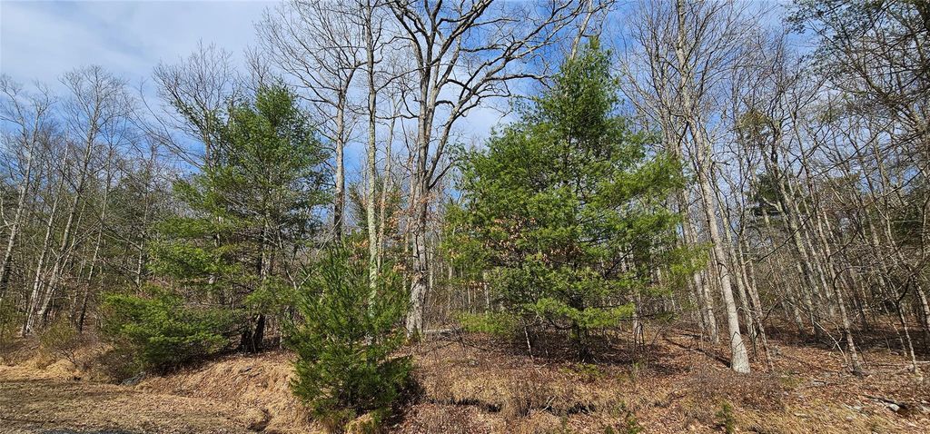 Lot 20.22 Woods Road, Barryville, NY 12719