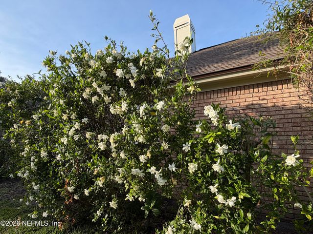 1573 CHAIN FERN Way, Fleming Island, FL 32003