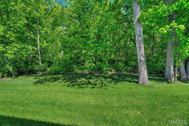 584 Lakewood Drive, Moscow Mills, MO 63362