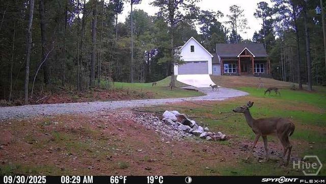 1650 Northwoods Drive, Greensboro, GA 30642