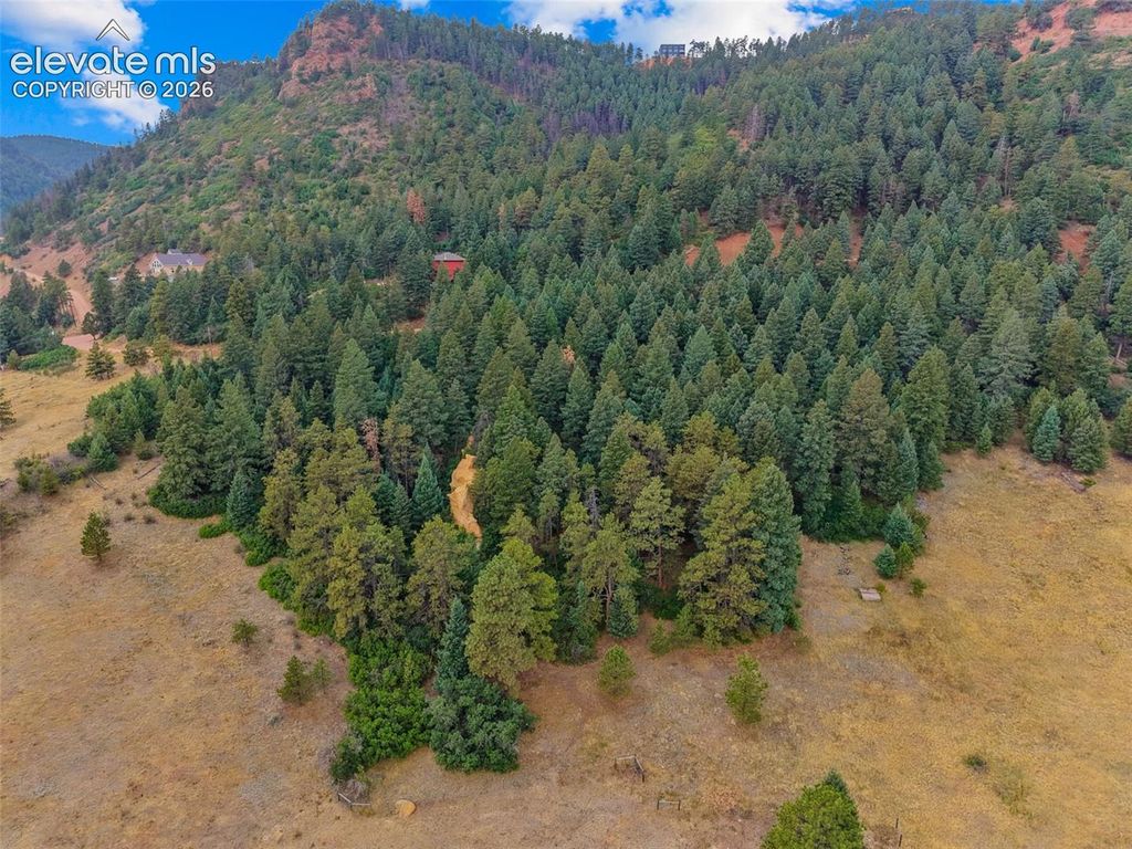 13665 Woodmoor West Drive, Larkspur, CO 80118 — photo 3