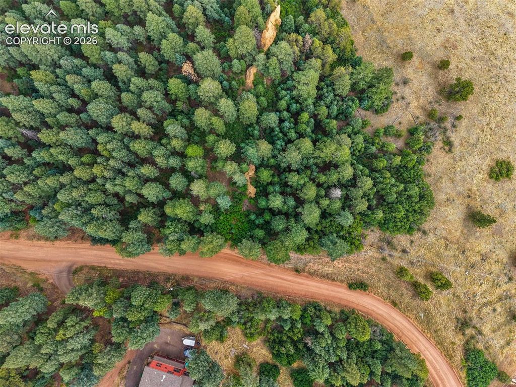 13665 Woodmoor West Drive, Larkspur, CO 80118 — photo 5