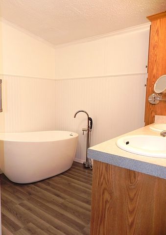 1232 Shiawassee River Road, Three Rivers, MI 49093