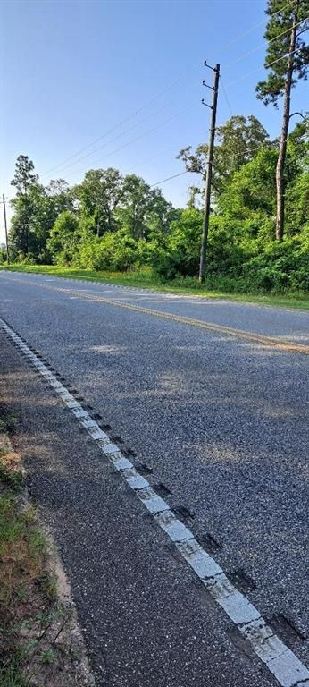 0 Lott Road, Eight Mile, AL 36613 — photo 3