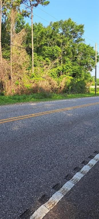 0 Lott Road, Eight Mile, AL 36613 — photo 4