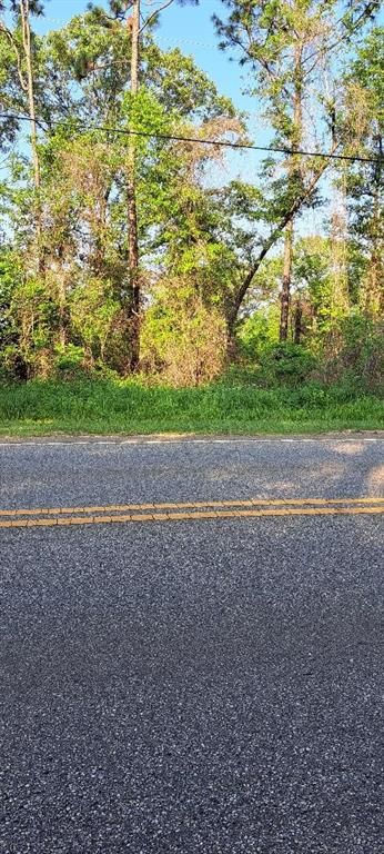 0 Lott Road, Eight Mile, AL 36613 — photo 5