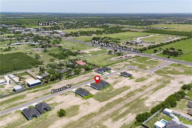 1704 Foxtail Street, Donna, TX 78537