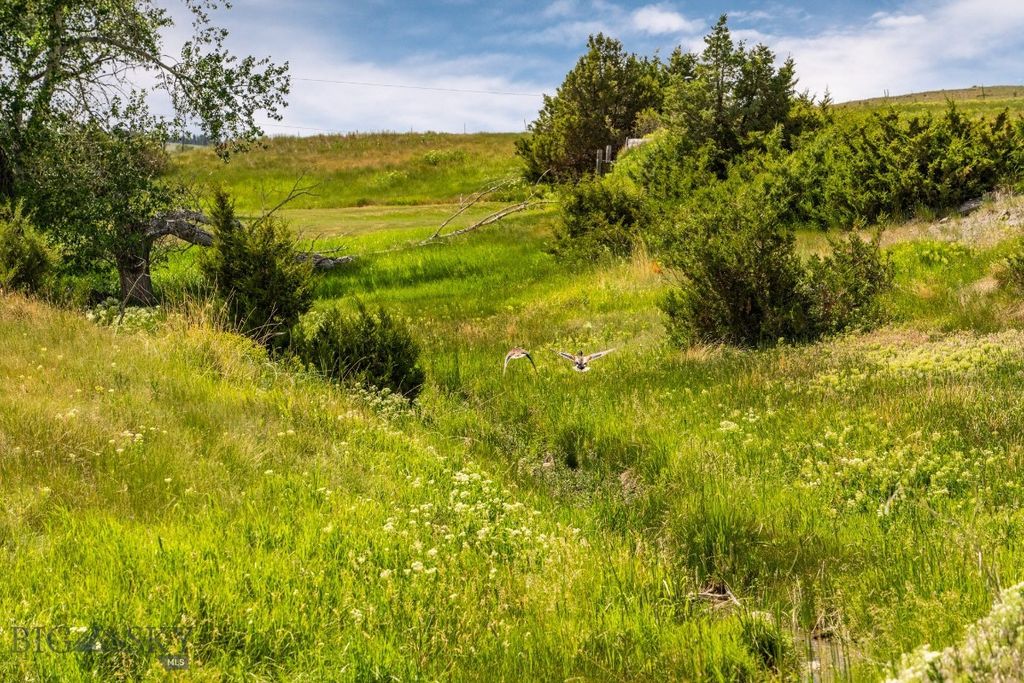 802 Deadmans Canyon Road, Reed Point, MT 59069 photo 14