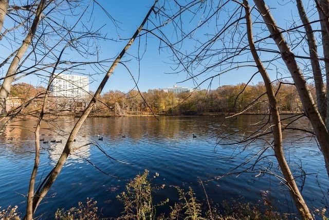 99 Pond Ave. 208, Brookline, MA 02445