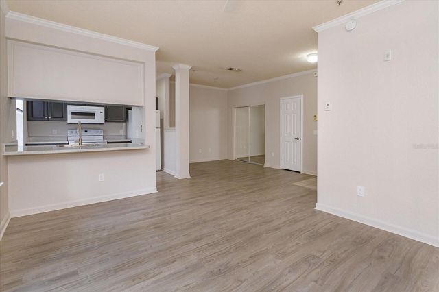 860 N ORANGE AVENUE 243, Orlando, FL 32801