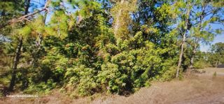 1023 Acacia Avenue, Lehigh Acres, FL 33972
