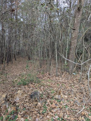 0 N Jefferies Boulevard, Walterboro, SC 29488
