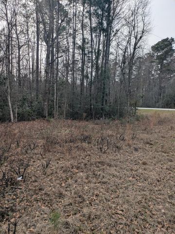 0 N Jefferies Boulevard, Walterboro, SC 29488