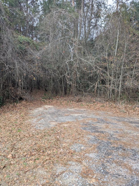 Image 1 of property listing at 0 N Jefferies Boulevard, Walterboro, SC 29488