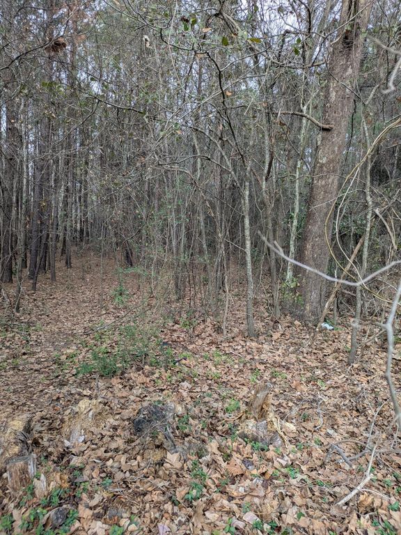 Image 2 of property listing at 0 N Jefferies Boulevard, Walterboro, SC 29488
