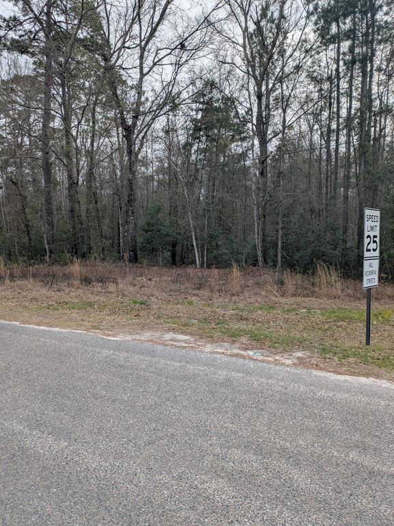 Image 3 of property listing at 0 N Jefferies Boulevard, Walterboro, SC 29488