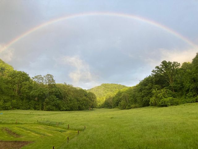 36415 Homer Valley Lane, Homer Twp, MN 55987